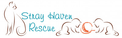 Stray Haven Feline Rescue, Inc. - Pet Shelter and Rescue in Webster Groves, Missouri