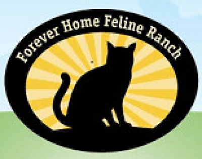 Forever Home Feline Ranch - Pet Shelter and Rescue in Springfield, Illinois