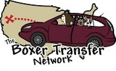 The Boxer Transfer Network - Pet Shelter and Rescue in Westminster, Maryland