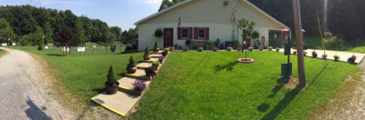 Humane Society Of Harrison County - Pet Shelter and Rescue in Shinnston, West Virginia