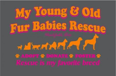 My Young & Old Fur Babies Rescue - Pet Shelter and Rescue in Woodsfield, Ohio