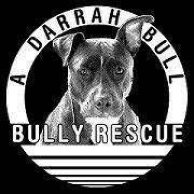 A Darrah Bull Bully Rescue - Pet Shelter and Rescue in Roaring Spring, Pennsylvania