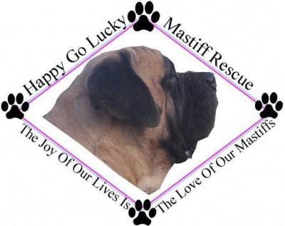 Happy Go Lucky Mastiff Rescue - Pet Shelter and Rescue in Flintstone, Maryland