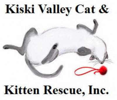 Kiski Valley Cat & Kitten Rescue, Inc. - Pet Shelter and Rescue in Apollo, Pennsylvania