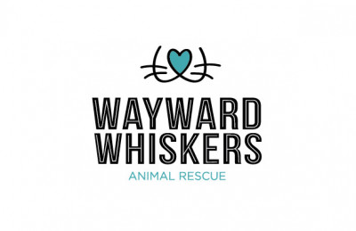 Wayward Whiskers - Pet Shelter and Rescue in Greensburg, Pennsylvania