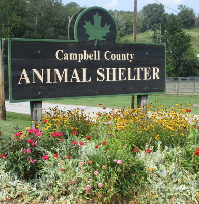Campbell County Animal Services - Pet Shelter and Rescue in Melbourne, Kentucky