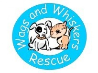 Wilson-Wags And Whiskers Rescue - Pet Shelter and Rescue in Taylor Mill, Kentucky