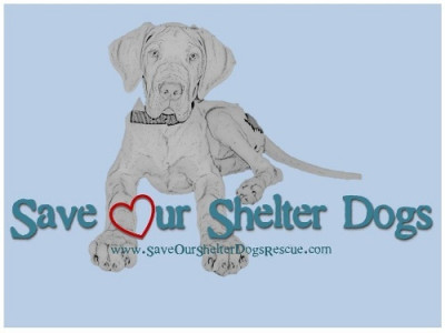 Save Our Shelter Dogs - Pet Shelter and Rescue in Ryland Heights, Kentucky