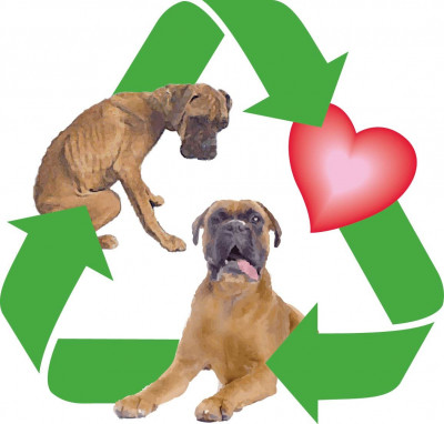 Recycled Doggies - Pet Shelter and Rescue in Montgomery, Ohio