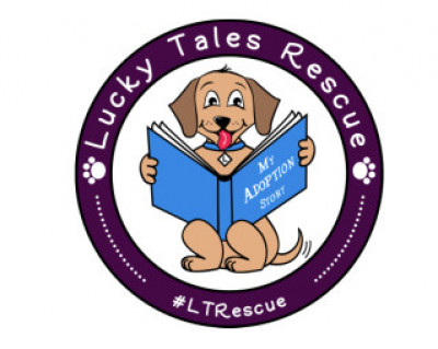 Lucky Tales Rescue, Inc - Pet Shelter and Rescue in Newport, Kentucky