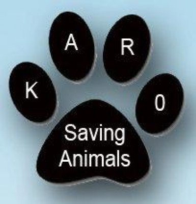 Kentuckiana Animal Rescue Organization - Pet Shelter and Rescue