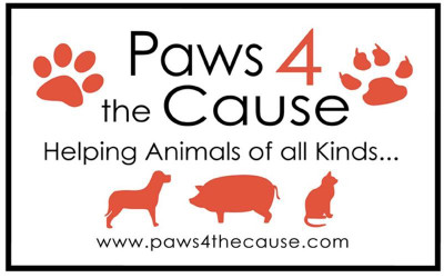 Paws 4 The Cause - Pet Shelter and Rescue in Lexington, Kentucky