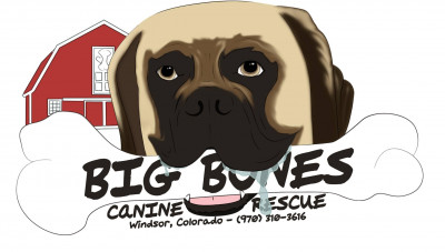 Big Bones Canine Rescue - Pet Shelter and Rescue in Severance, Colorado