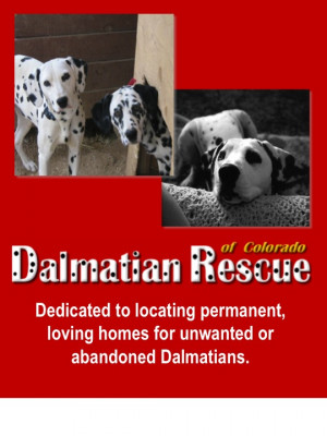 Dalmatian Rescue Of Colorado - Pet Shelter and Rescue in Colorado Springs, Colorado