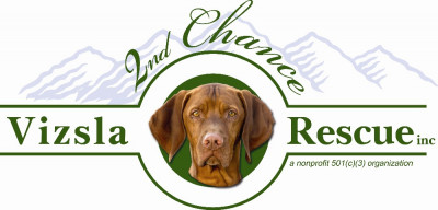 2nd Chance Vizsla Rescue, Inc. - Pet Shelter and Rescue in Fort Collins, Colorado