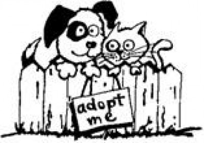 Fort Morgan Humane Society - Pet Shelter and Rescue in Fort Morgan, Colorado