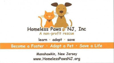Homeless Paws - Pet Shelter and Rescue in Gulf Breeze, Florida