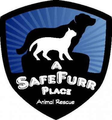 A SafeFurr Place Animal Rescue - Pet Shelter and Rescue in Bakersfield, California