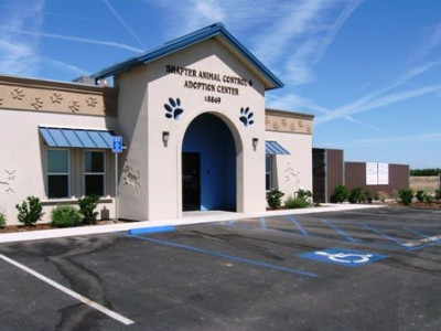 Shafter City Animal Control - Pet Shelter and Rescue in Shafter, California