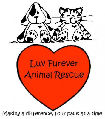 Luv Furever Animal Rescue - Eatontown - Pet Shelter and Rescue in Eatontown, New Jersey