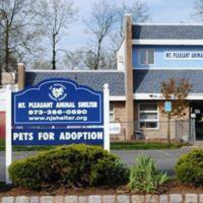 Mt. Pleasant Animal Shelter - Pet Shelter and Rescue in East Hanover, New Jersey