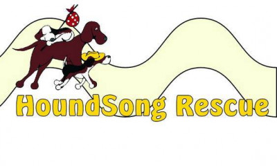 HoundSong Rescue - Pet Shelter and Rescue in Hammond, Indiana