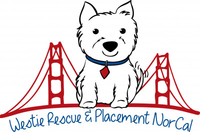 Westie Rescue Northern California - Pet Shelter and Rescue in Santa Clara, California
