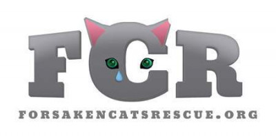 Forsaken Cats Rescue - Pet Shelter and Rescue in Pleasanton, California