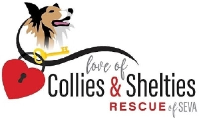 Collie And Sheltie Rescue Of Southeast Virginia - Pet Shelter and Rescue in Newport News, Virginia