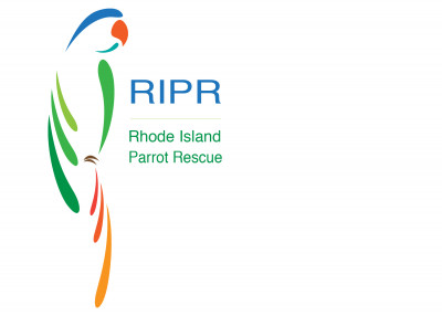Rhode Island Parrot Rescue - Pet Shelter and Rescue in West Warwick, Rhode Island