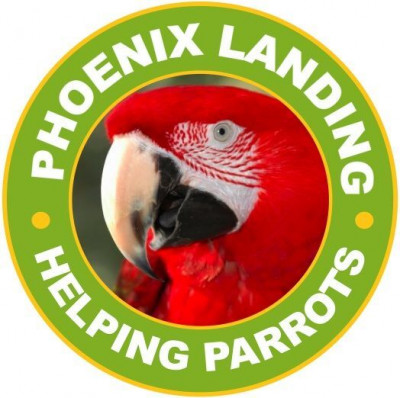 Phoenix Landing Foundation - Pet Shelter and Rescue in Alexander, North Carolina