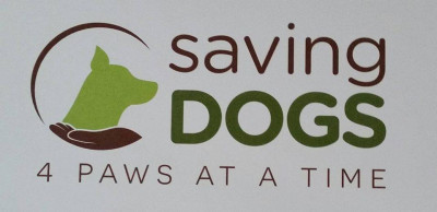 Saving Dogs 4 Paws At A Time - Pet Shelter and Rescue in Moberly, Missouri