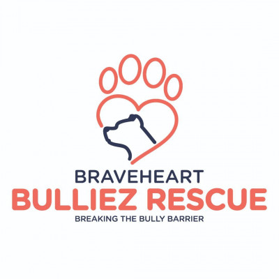 Braveheart Bulliez Rescue - Pet Shelter and Rescue in Roswell, Georgia