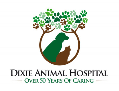 Dixie Animal Hospital - Pet Shelter and Rescue in Miami, Florida