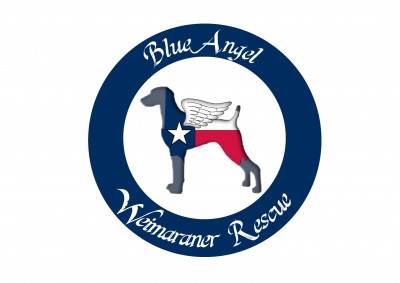Blue Angel Weimaraner Rescue - Pet Shelter and Rescue in Cross Timber, Texas