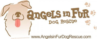 Angels In Fur Dog Rescue - Pet Shelter and Rescue in Los Angeles, California