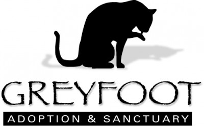 Greyfoot Cat Rescue - Pet Shelter and Rescue in Ventura, California