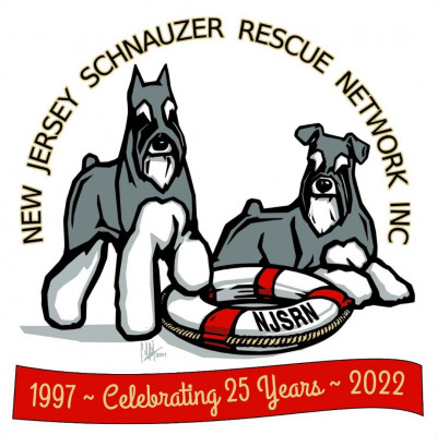New Jersey Schnauzer Rescue Network Inc - Pet Shelter and Rescue in Fanwood, New Jersey