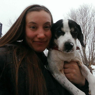 Pawprint Paradise - Pet Shelter and Rescue