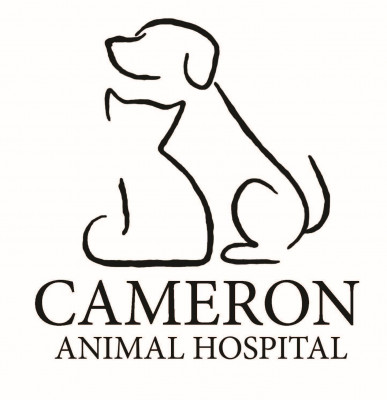 Cameron Animal Hospital Rescue - Pet Shelter and Rescue in Montclair, New Jersey