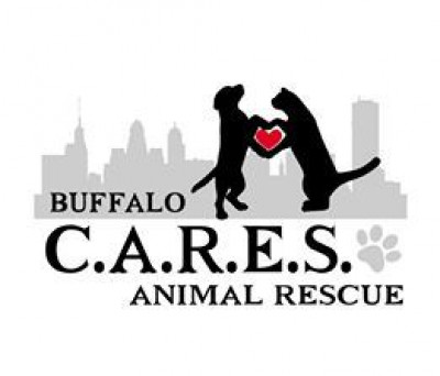Buffalo CARES Animal Rescue - Pet Shelter and Rescue in Tonawanda, New York