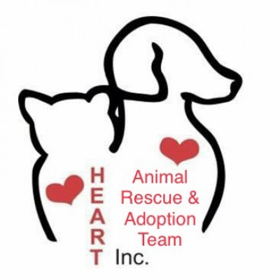 HEART Animal Rescue & Adoption Team Inc. - Pet Shelter and Rescue in Hamburg, New York