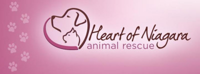 Heart Of Niagara Animal Rescue, Inc. - Pet Shelter and Rescue in Lockport, New York
