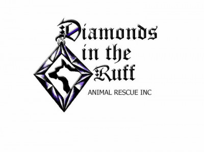 Diamonds In The Ruff - Pet Shelter and Rescue in Lockport, New York