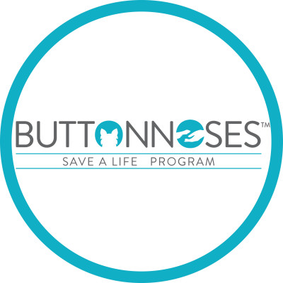 BUTTONNOSES - Pet Shelter and Rescue in Toronto, Ontario