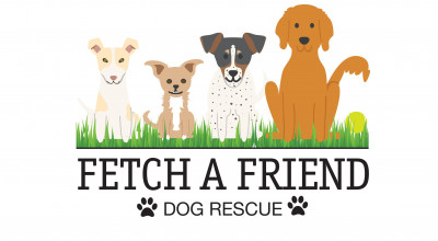 Fetch A Friend Rescue - Pet Shelter and Rescue in Seneca Falls, New York
