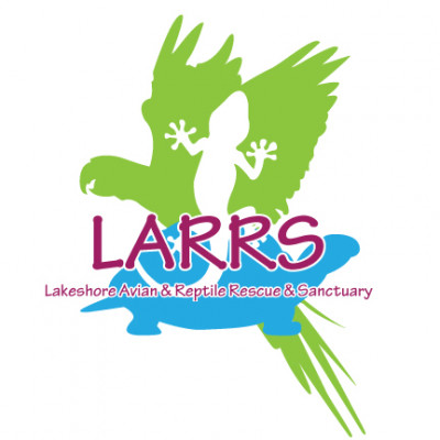 LARRS - Lakeshore Avian And Reptile Rescue - Pet Shelter and Rescue in Sheboygan Falls, Wisconsin