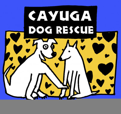 Cayuga Dog Rescue - Pet Shelter and Rescue in Ithaca, New York