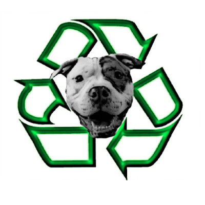 Recycle-A-Bull Bully Breed Rescue - Pet Shelter and Rescue in Clay, New York