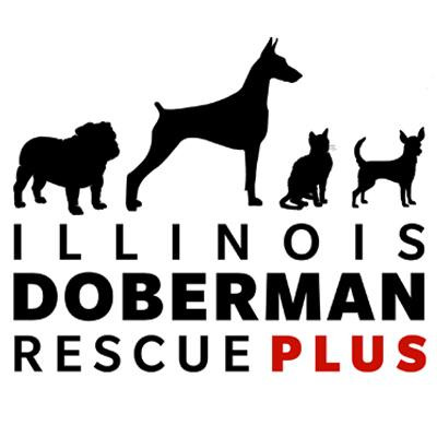 Illinois Doberman Rescue Plus - Pet Shelter and Rescue in Barrington, Illinois
